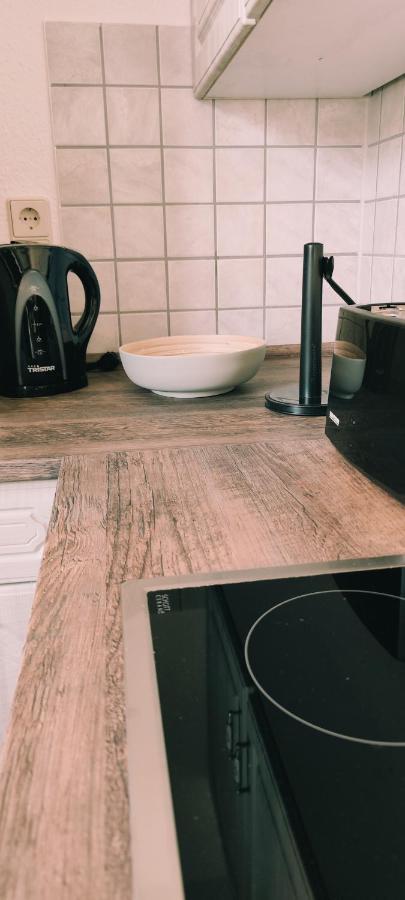 Ferienwohnung Trinitatis Sondershausen Kültér fotó
