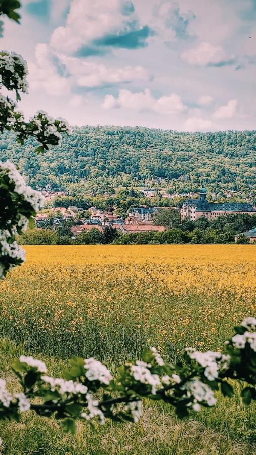 Ferienwohnung Trinitatis Sondershausen Kültér fotó